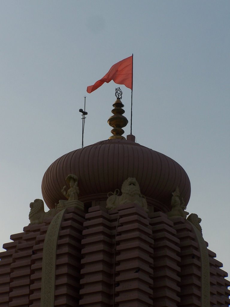 Top of the Vimana, Panduranga Temple, Thennangur by omshakti