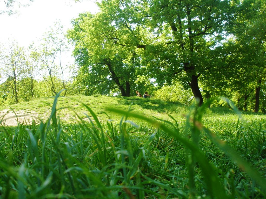 Giardini Margherita, on the grass... by phoenixbf