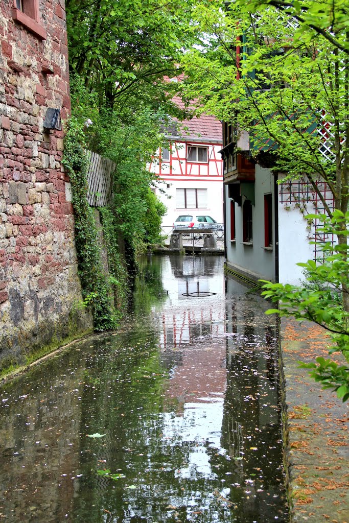 Tauberbischofsheim-Mühlkanal ●(000°) by © Roland