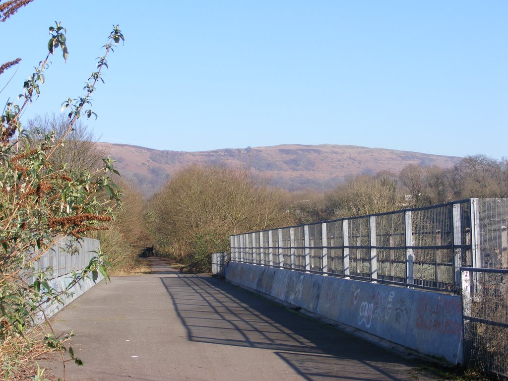 Taff Trail - Bridge over Manor Road at Taffs Well by PaulF