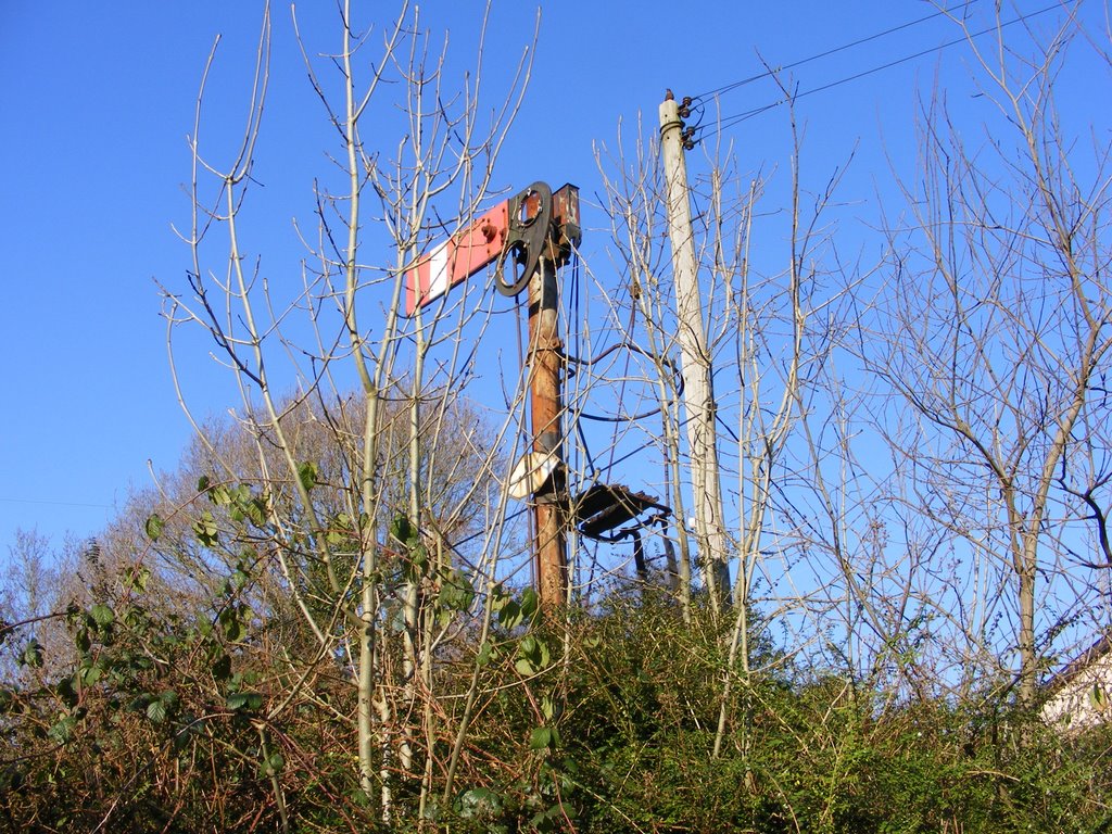 Old signal on Taff Trail at Taffs Well by PaulF