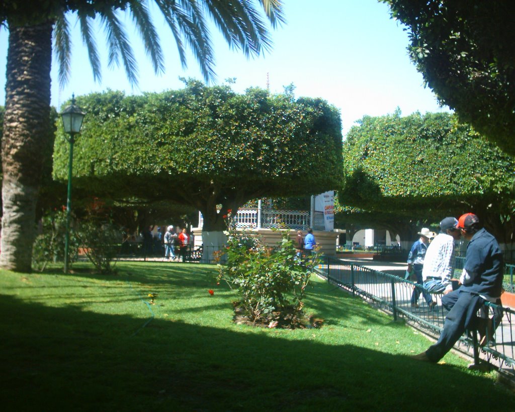 Parque Municipal Valle de Santiago,Gto. by Fred Lark Brown