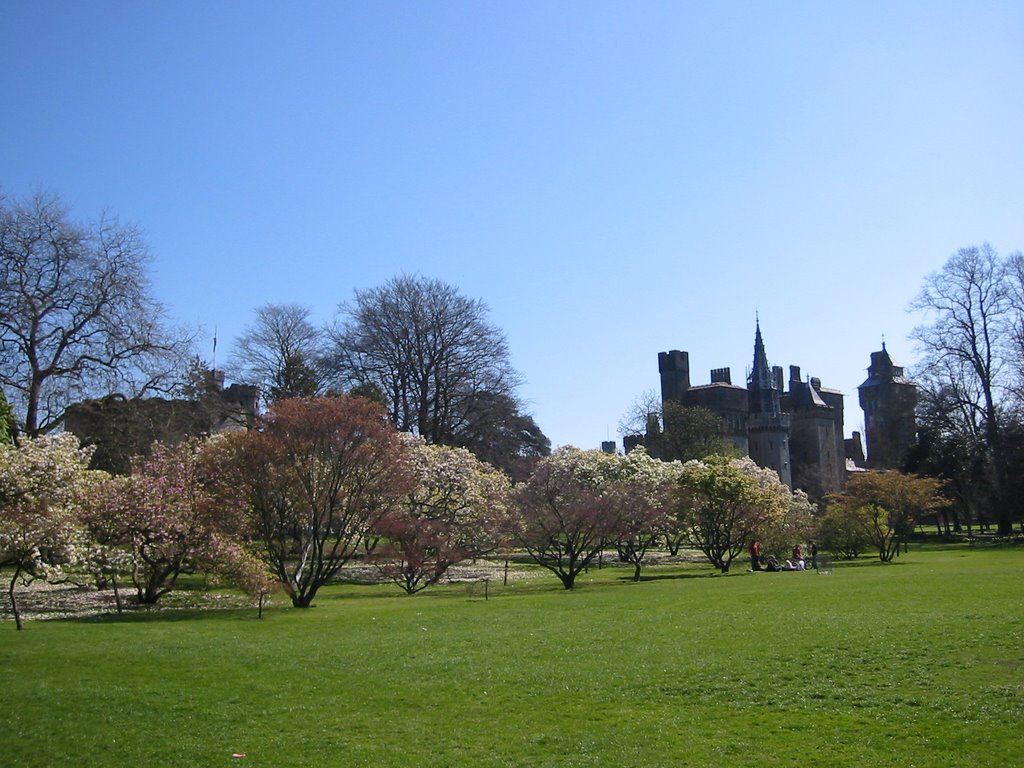 Cardiff Castle from Bute Park by Jan Haas