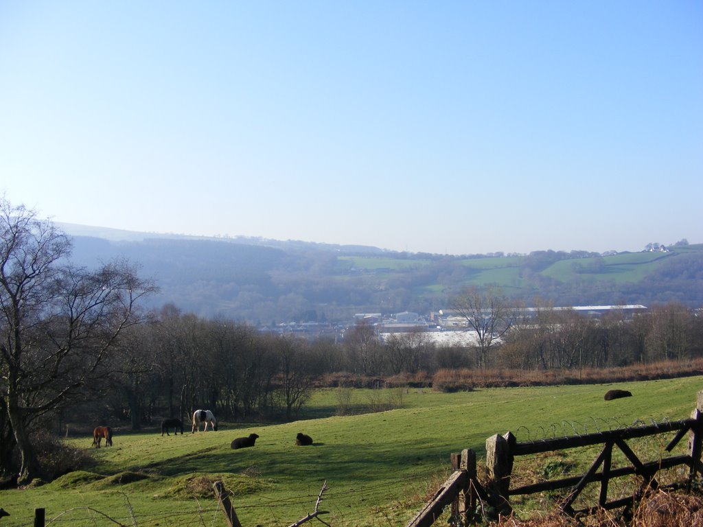 Looking across to Treforest from the Trail at Upper Boat by PaulF