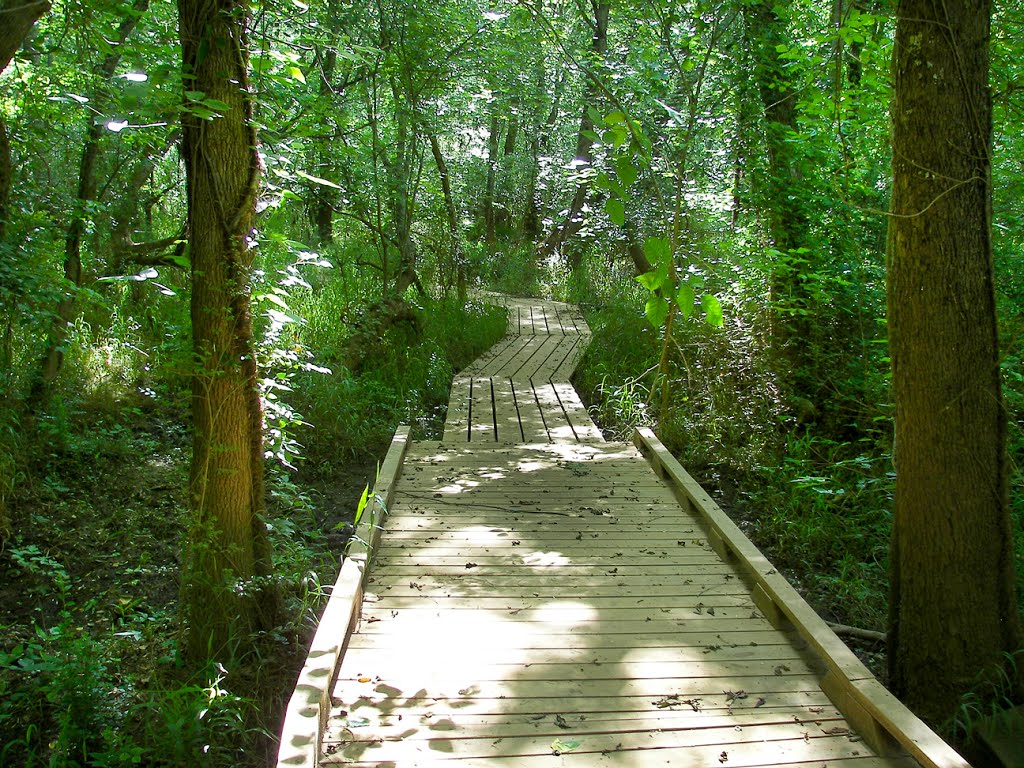 Treefrog Trail, Conestee Nature Park by Michael E. Crocker