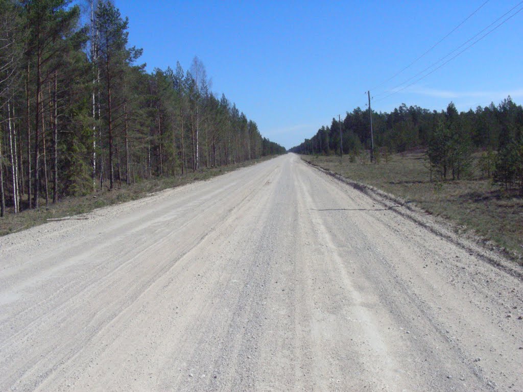 Road to Kolka by Hans - PANO YES !