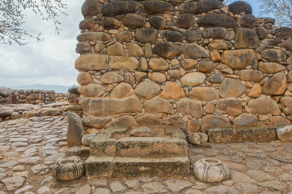 Gate at Tel Dan by Derek Winterburn