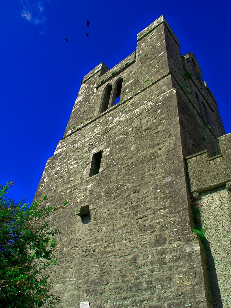 Balrothery Tower South by Paul Andrews