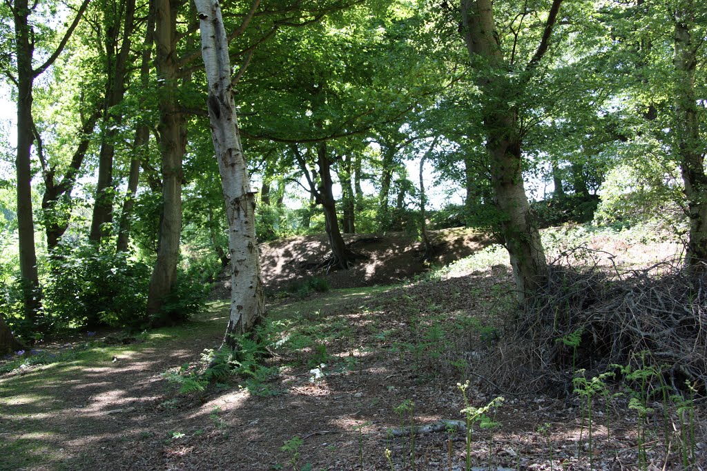 Buckland Rings Hill fort inner ramparts by sarahfisher