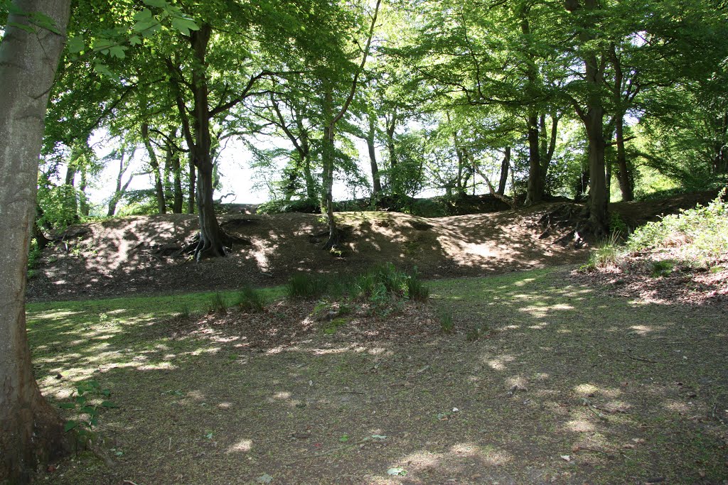 Buckland Rings Hill fort ramparts by sarahfisher