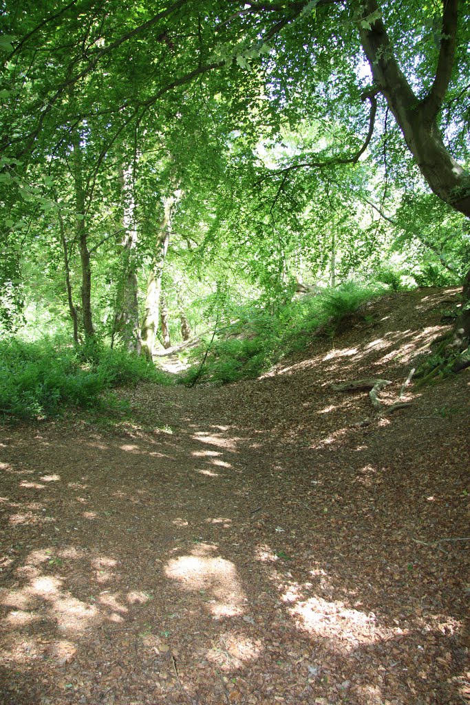 Buckland Rings Hill fort ramparts by sarahfisher