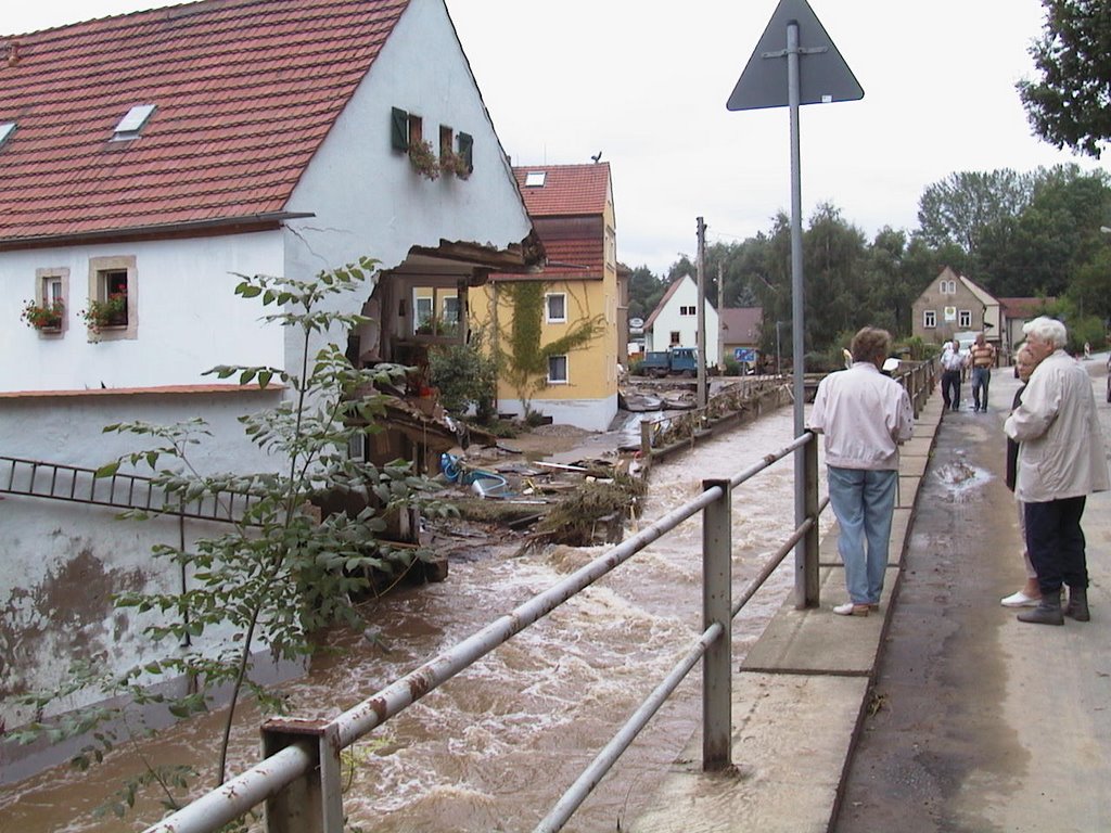 Nach der Seidewitz - Flut am 12.08.2002 by Volkmar53