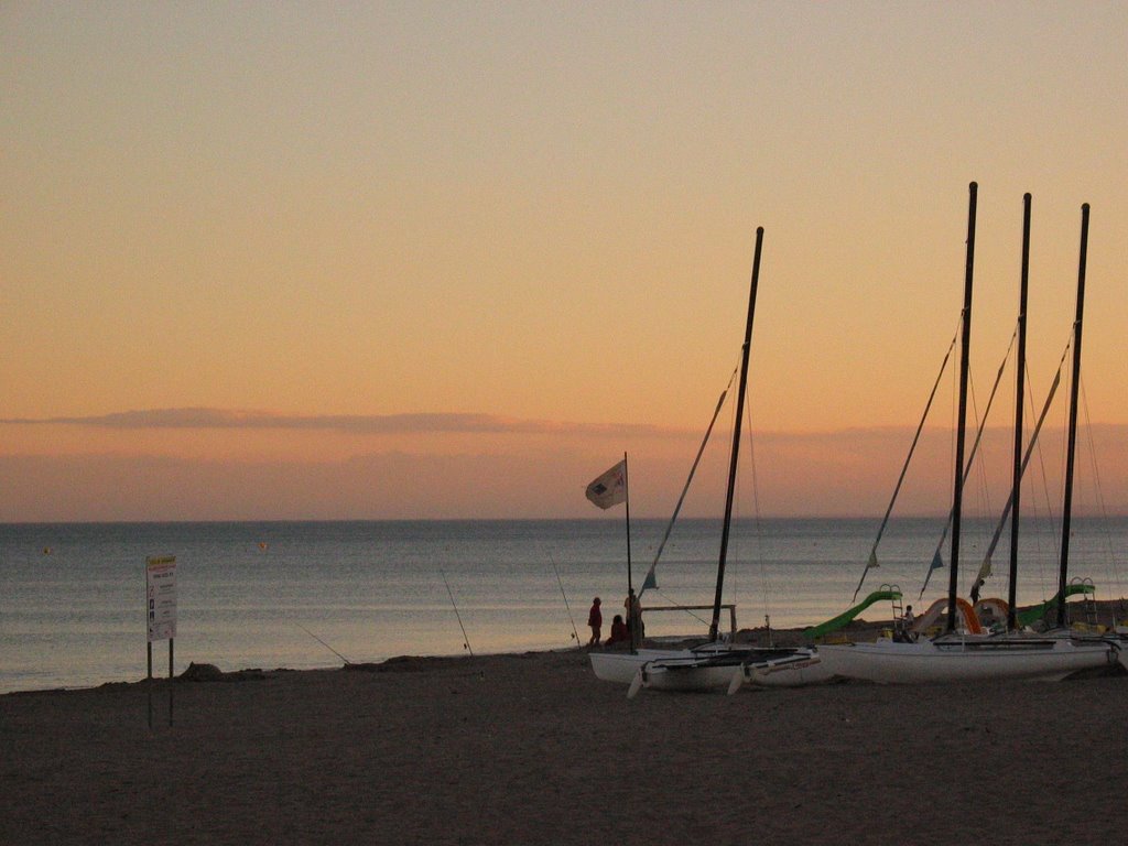 Sérignan plage, Cat's on the beach by PeBro