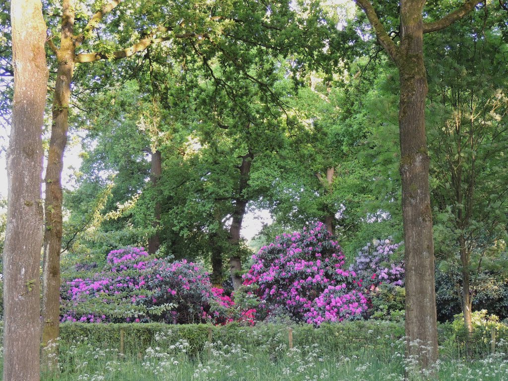 Belmonte Arboretum, Wageningen. by Ria Wentink