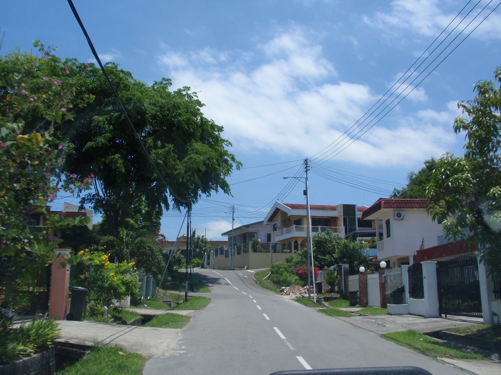 Lorong Pokok Johor by kkboy