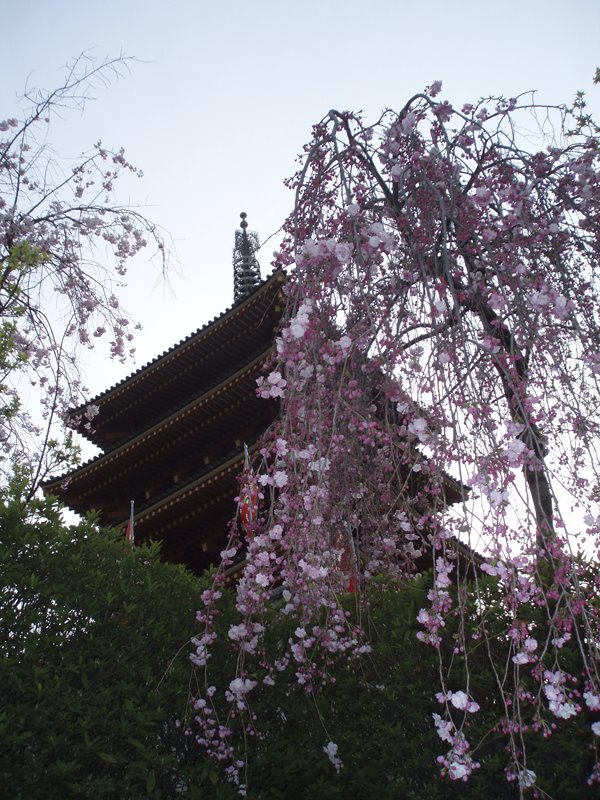 Takahata-Fudo Temple by Kiyochan