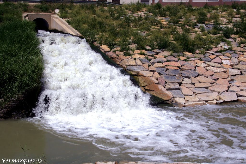 Vertido al río Segura. Depuradora Murcia Sur. 2 by Fermarquez27