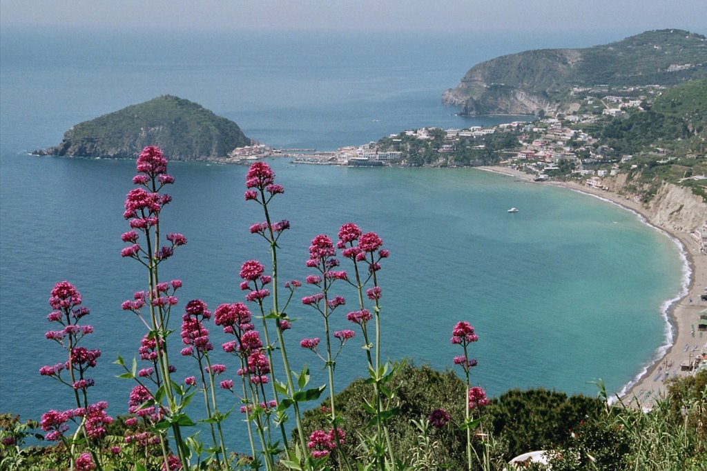 Blick zum Maronti-Strand vom Monte Cotto by Ali-babaa1001