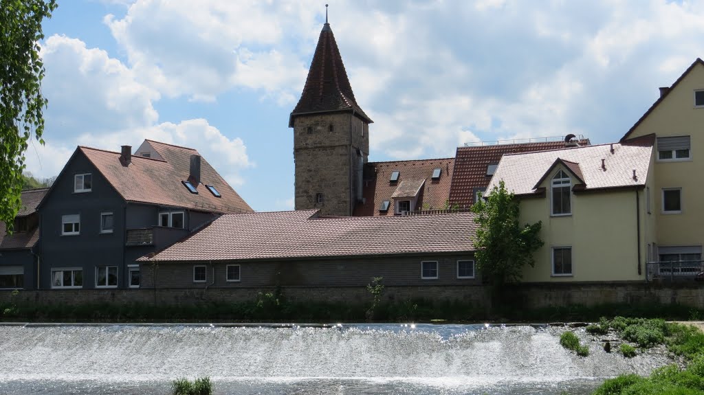 Greglingen (MTK) - Tauber und Faulturm by gehsport