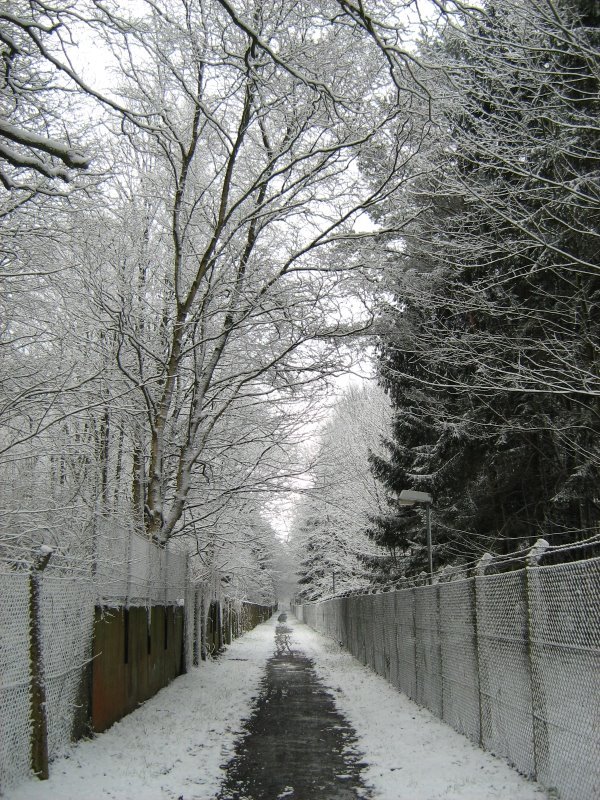 Otto Hahn Strasse (26.03.2008) by homayonifar