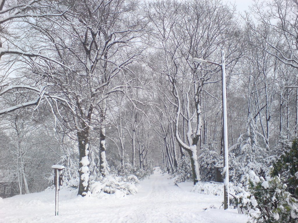 Nordpark im Winter by zhenya175