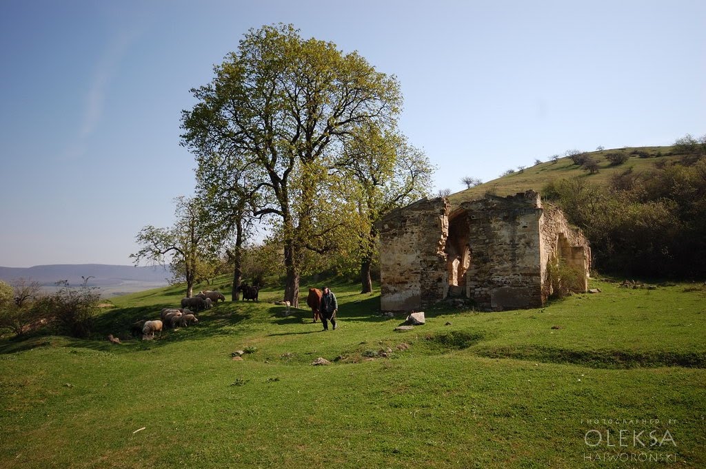 Ruins of a medieval Armeinan Catholic church by Oleksa Haiworonski