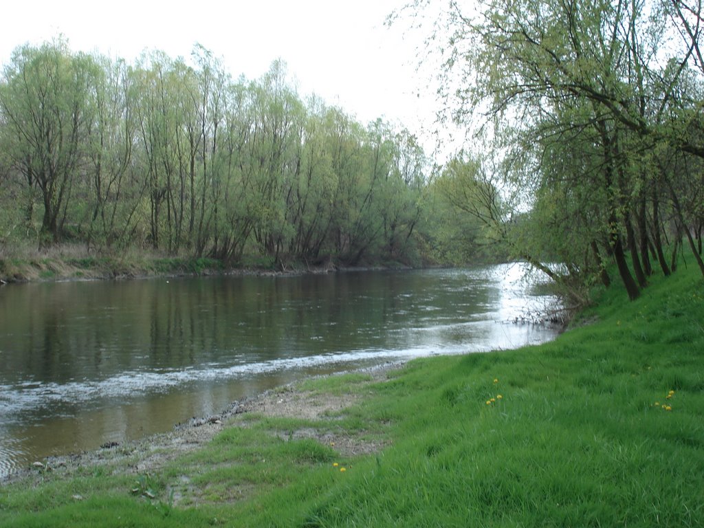 Rába-folyó - River Rába by Ancsa