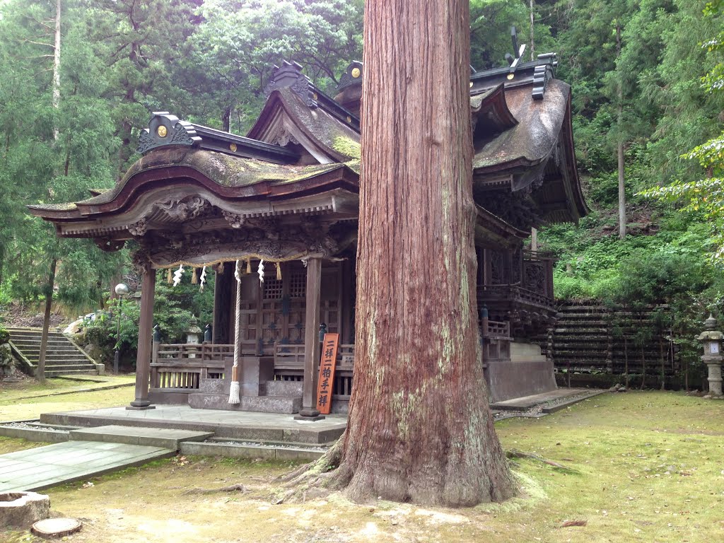 大瀧神社、越前市、福井 Ohtaki shrine, Echizen-city, Fukui by kodachi