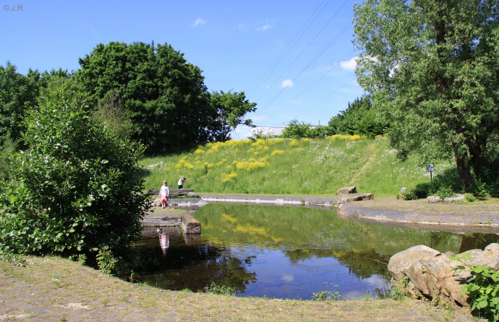 Südpark, Düsseldorf by Juergen Roesener