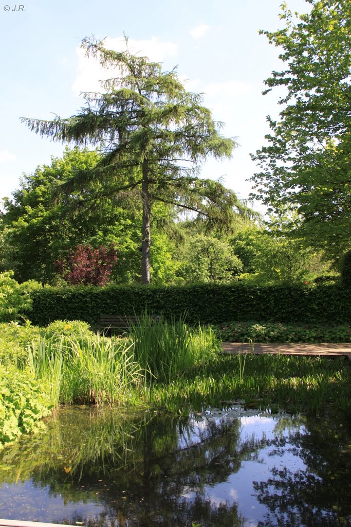 Südpark, Düsseldorf by Juergen Roesener