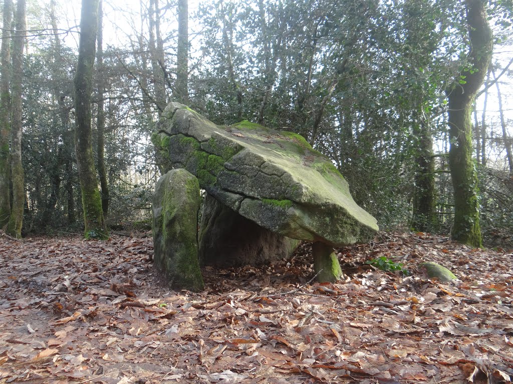 Pluguffan - Dolmen de Menez Liaven - 2013 by Breizh...up!