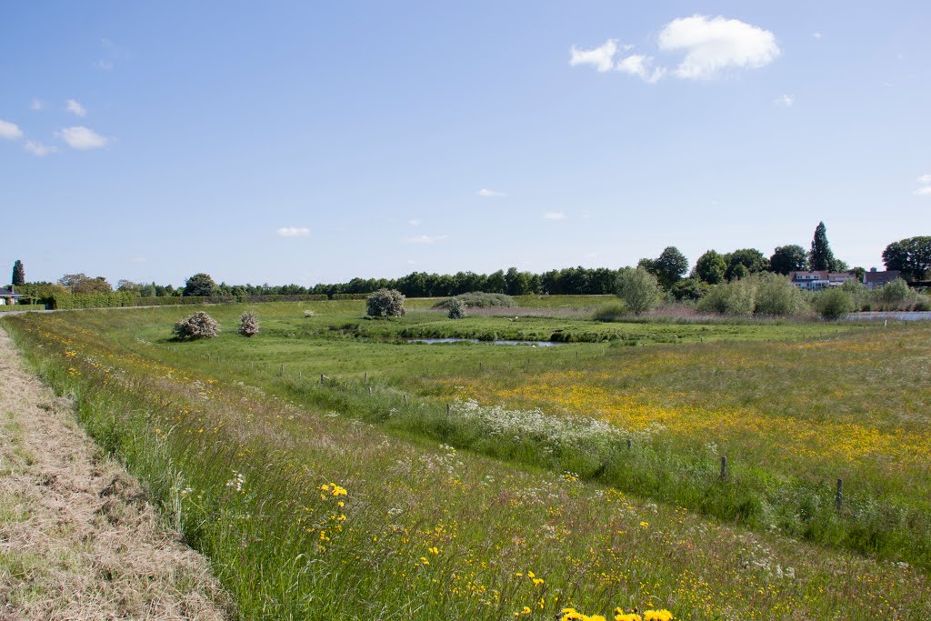 Panoramazicht, Horenkamp by aRGee