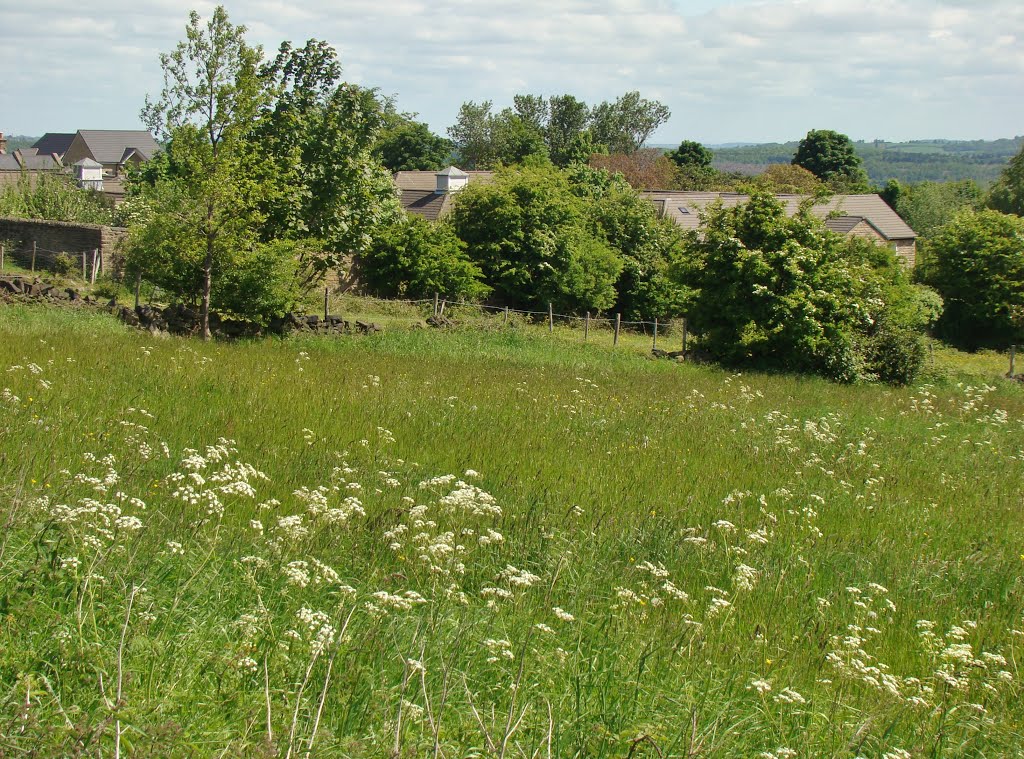 Field east of Foxhill Road, Grenoside, Sheffield S35 by sixxsix