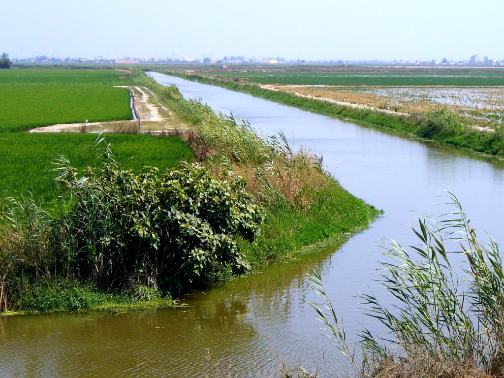 Delta del Ebro by bernycagliero