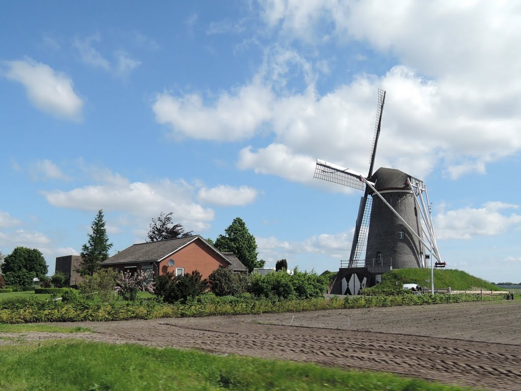 NL - Meterik - Schadijkerweg (molen Eendracht Maakt Macht) by Danny Danckaert