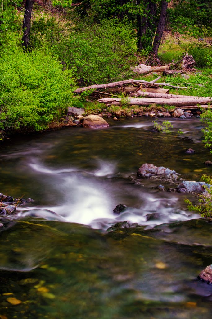 Coffee Creek_DSC0860 by Larry Butcher