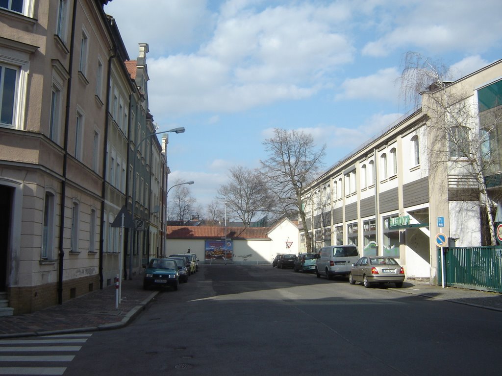 Erlichstraße by Luitbald