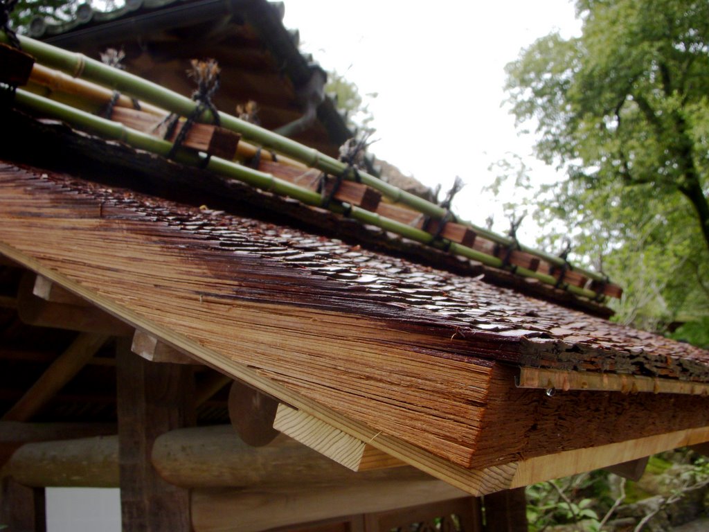 Kinkakuji Roof Detail by LandonV