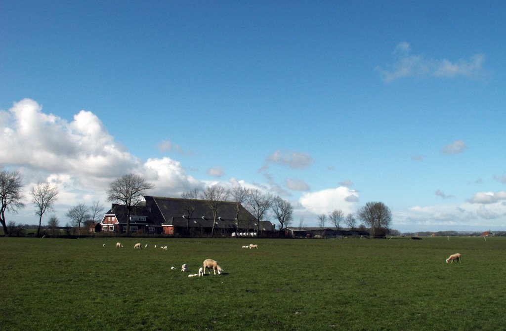 Echt Groningen nabij Stitswerd. by Tjeert.Mensinga ©