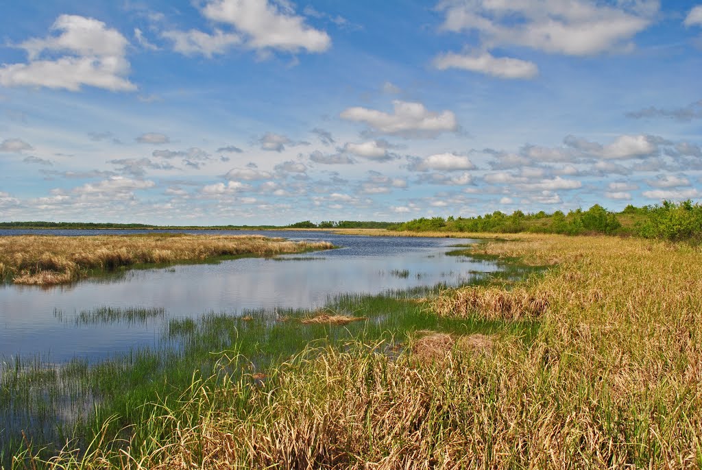 Reed Lake Meadow State Natural Area by Aaron Carlson