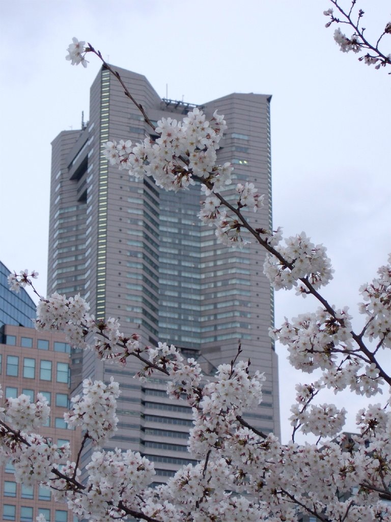 Yokohama Landmark Tower （横浜ランドマークタワー） by Demon Boil