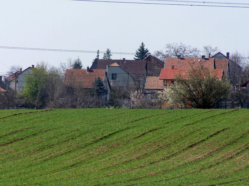 A falu széle - Kerepes, Szilasliget by Szekér