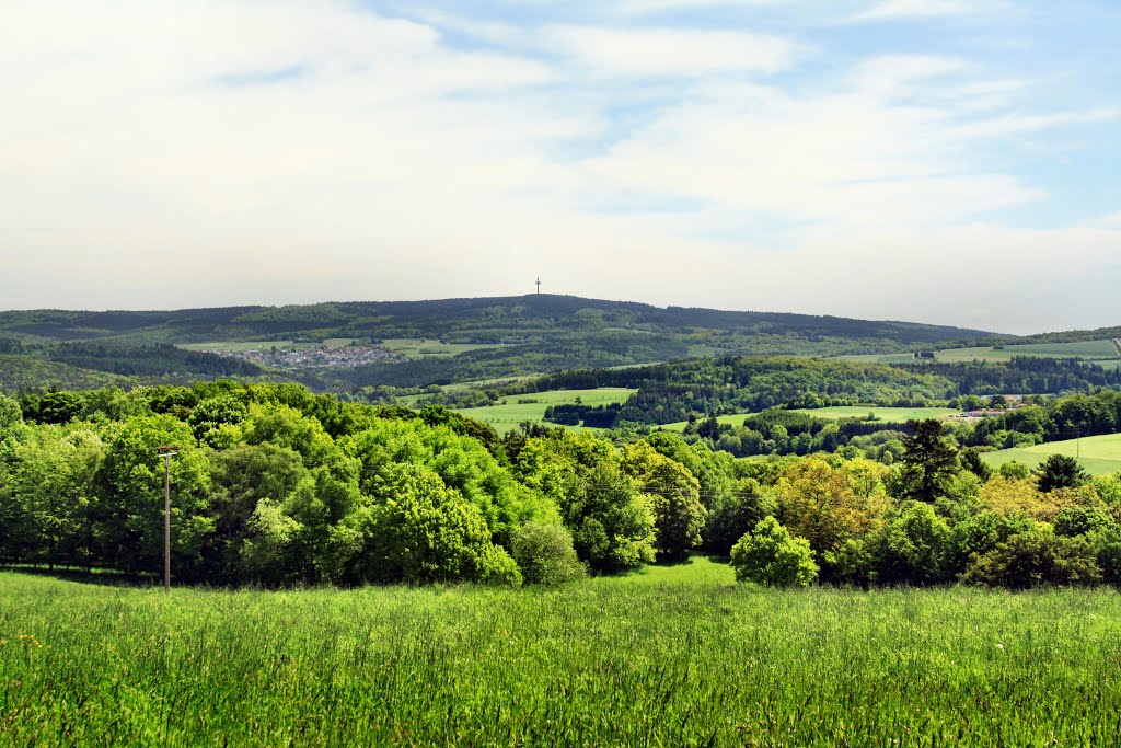 Taunusblick zur Hohen Wurzel by oller rainer