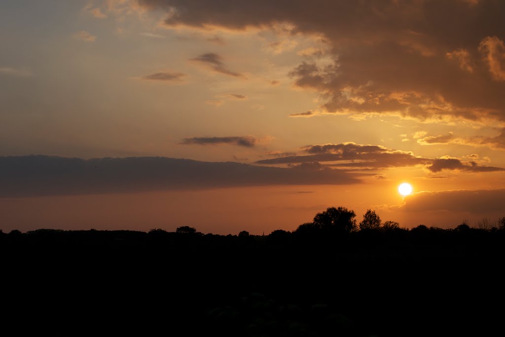 Fen Sunset by awhack56