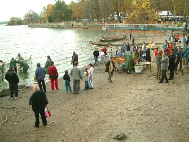 Catching the fishes before the winter by Gábor Ligeti