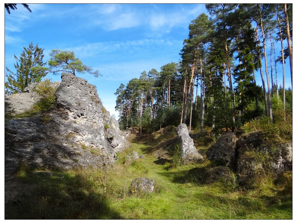 Wental`s Schönheit by Von der Dinkelheide