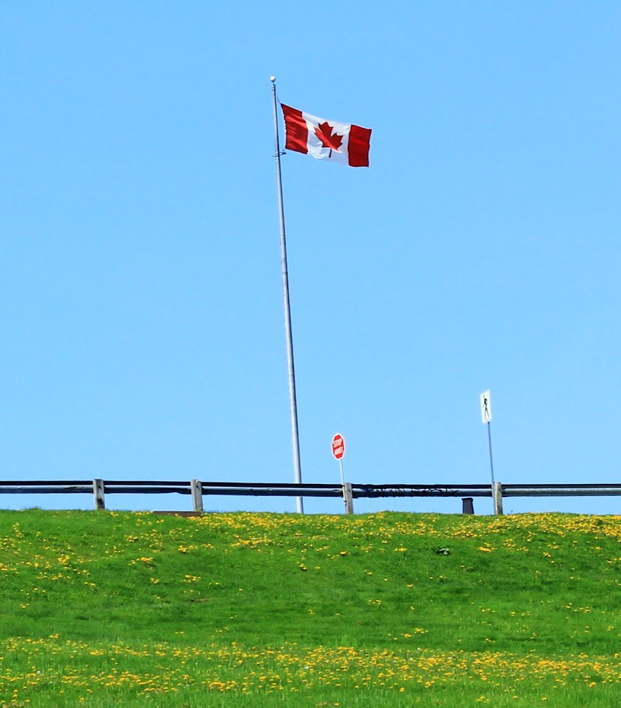 Canadian Flag by gnihalg