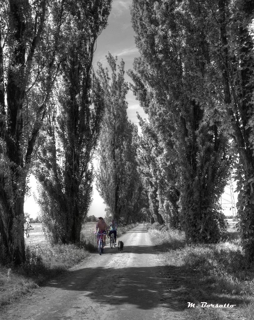 Vigano (Gaggiano) strada sterrata per Cascina Guzzafame by Maurizio Borsatto