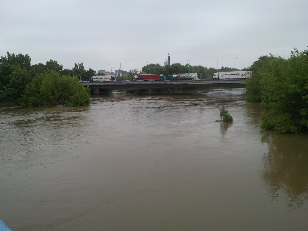 Alle Fotos vom 04.06.2013 Halle Hochwasser by hallehochwasser@gmail.com