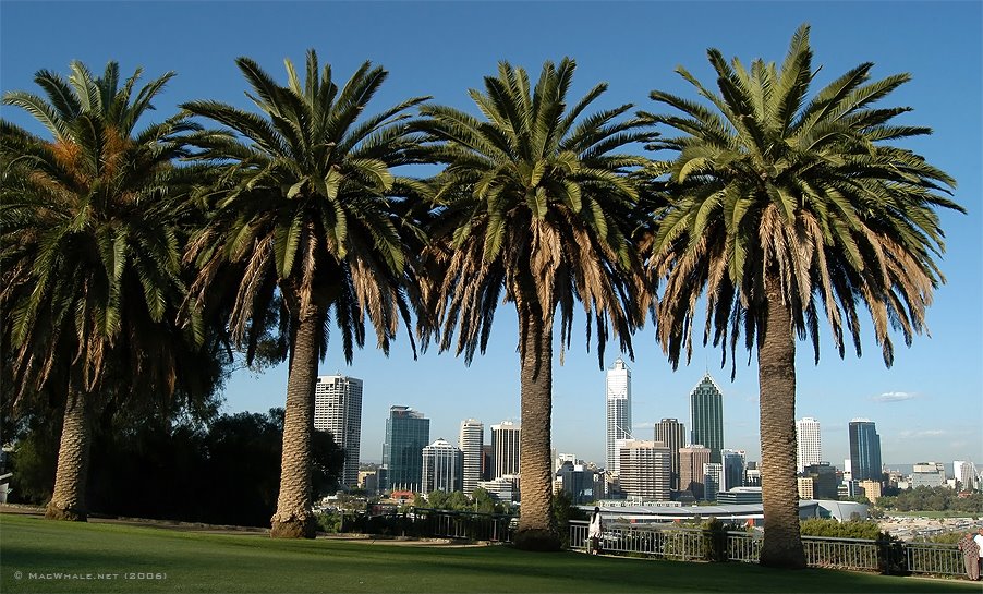 Kings Park, Perth by Geir Joar Meli Hval …